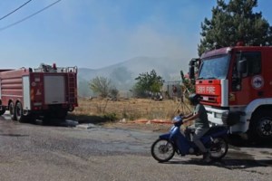 Πυρκαγιά σε αγροτοδασική έκταση στη Λιοδώρα Αρκαδίας - Βελτιωμένη η εικόνα της φωτιάς στη Κάρυστο