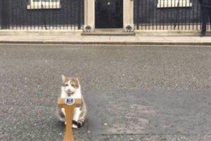 Παραίτηση Τρας: Το come back Τζόνσον(;) και τα φαβορί των μπουκμέικερ για την πρωθυπουργία στη Βρετανία - εικόνα 2