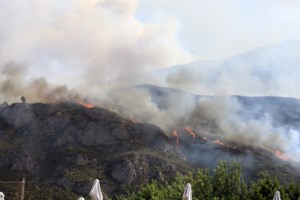 Μεγάλη φωτιά στον Πύργο Ηλείας: Προσαγωγή υπόπτου για εμπρησμό - Μήνυμα 112 για εκκένωση τεσσάρων οικισμών - εικόνα 3