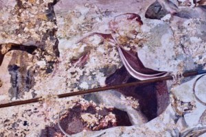 Αγγελική Κοτταρίδη: Ψευδοεπιστημονικές εμμονές… ο "μεσόλευκος" χιτώνας του Μεγάλου Αλεξάνδρου που... δεν... βρέθηκε