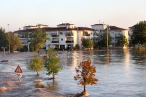 Θεσσαλία: Φρίκη προκαλούν οι φωτογραφίες από χιλιάδες νεκρά ζώα στις πλημμυρισμένες περιοχές - Προσοχή, σκληρές εικόνες - εικόνα 7