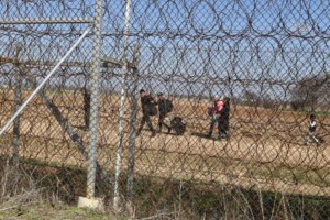 Στεφανής: Ο Ερντογάν αυτοπαγιδεύτηκε στην προκλητική ρητορική του - Έτοιμη για κάθε σενάριο η Ελλάδα