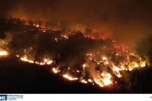 Συλλήψεις για εμπρησμούς σε Μεσσηνία, Ιωάννινα και Βοιωτία - "Μου είπαν στο καφενείο να βάζω φωτιές"