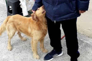 Σεισμός στην Ελασσόνα: Στήνεται ο πρώτος οικίσκος στο Βλαχογιάννι – Θα μείνει καρκινοπαθής με την οικογένειά του [βίντεο - εικόνες]