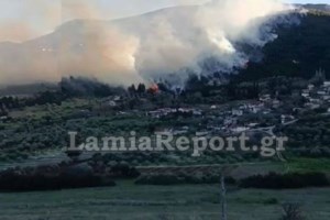 Φθιώτιδα: Ολονύχτια μάχη με τις φλόγες- Προσπάθεια να ανακοπεί το μέτωπο λίγα μέτρα από το χωριό Μενδενίτσα - εικόνα 2