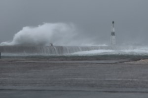 Προβλήματα λόγω των ισχυρών ανέμων στη Θεσσαλονίκη: Επεσε δέντρο, από τύχη δεν τραυματίστηκε κανείς [βίντεο]