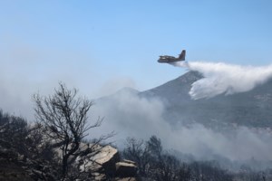 Φωτιά στη Βάρης - Κορωπίου: Καλύτερη εικόνα από το πύρινο μέτωπο - Σε αυλές σπιτιών και επιχειρήσεις έφτασαν οι φλόγες [εικόνες] - εικόνα 5