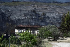 Φωτιά στον Σχίνο: Στις φλόγες το οινοποιείο "Κτήμα Εύχαρις" στα Μέγαρα - Καταστράφηκε ολοσχερώς [Εικόνες]