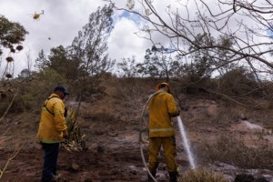 Ο "Βράχος" Ντουέιν Τζόνσον λύγισε από την καταστροφική πυρκαγιά στη Χαβάη - Κάνει έκκληση για δωρεές