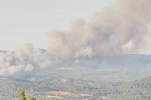Φωτιά στη Ρόδο: Καίει σε πυκνό δάσος - Εξασθενημένοι άνεμοι
