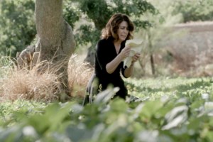 Άγριες Μέλισσες spoiler: Αυτά είναι τα τελευταία συγκλονιστικά επεισόδια - Ποιοι θα μείνουν ζωντανοί;