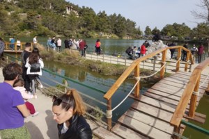 Παγώνη: "Δεν πειράζει αν ένα Πάσχα δεν πάμε στο χωριό" - Τα τρία στοιχεία που θα κρίνουν τις μετακινήσεις