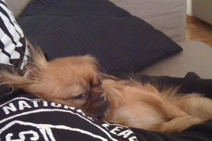 Μπέττυ Μαγγίρα: Το φλερτ με τον ΑΝΤ1 υπήρχε - Τώρα δεν ‘μασάω’ πια