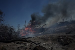 Φωτιά στη Νάξο: Επί ποδός επίγειες και εναέριες δυνάμεις για την κατάσβεση - εικόνα 2