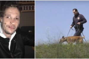 Σοκαριστικό τροχαίο στις Σέρρες: Μετωπική σύγκρουση δύο ΙΧ οχημάτων - Ένας σοβαρά τραυματίας