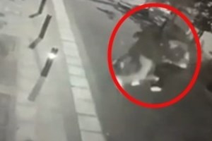 Aνθρωποκτονία στην Κυψέλη: Την Παρασκευή στην ανακρίτρια τα δύο αδέρφια - Την ίδια ημέρα στο Αυτόφωρο οι γονείς τους - εικόνα 3