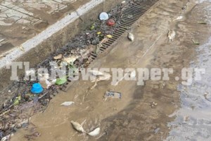 Βορίδης για πλημμύρες: Ο Βόλος ήταν εντυπωσιακά άτυχος- Οι υποδομές που είχαν καταστραφεί στον Daniel, δεν είχαν αποκατασταθεί όλες