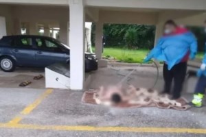 Καταγγελία για Ωρωπό: Παρουσία αστυνομικών και του δήμου έπλεναν την ηλικιωμένη, λέει η δικηγόρος διασώστη