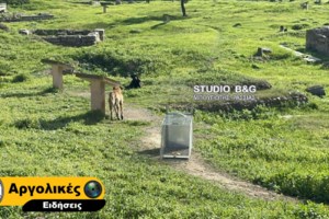 Πέραμα: Άγρια επίθεση σκύλου σε 12χρονο - "Τον δάγκωσε, έχει παντού τρυπούλες", λέει η μητέρα του