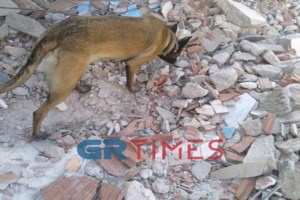 Νέα τραγωδία στην Τουρκία: Επταμελής οικογένεια Σύρων που γλίτωσε από τον σεισμό, πέθανε σε πυρκαγιά - εικόνα 2