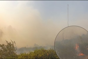 Φωτιά στην Αττική: Εξουθενωμένοι πυροσβέστες παίρνουν μια ανάσα πριν επιστρέψουν στην πύρινη κόλαση - Συγκλονιστικές εικόνες - εικόνα 4