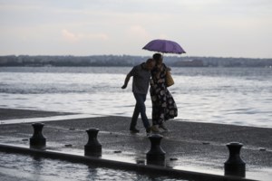 Καλιφόρνια: Αρκούδα μπήκε σε σούπερ μάρκετ να "ψωνίσει" πριν πιάσει ο χειμώνας