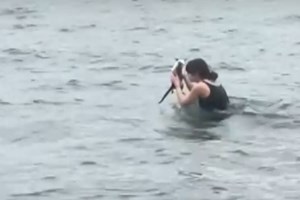 Πρωκτικοί αδένες σε σκύλο και σε γάτα: Τι είναι - Oι κινήσεις του ζώου που πρέπει να σας αφυπνίσουν