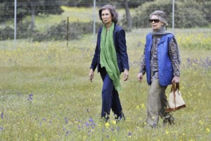 Τέως πριγκίπισσα Ειρήνη: Η ζωή της "ξεχωριστής" αδερφής του Κωνσταντίνου- Από το παλάτι της Μαδρίτης, στο διαμέρισμα της πλατείας Μαβίλη - εικόνα 3