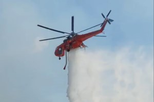 Ενώθηκαν οι δύο φωτιές στην Βοιωτία: Πάνω από 10χλμ το ενιαίο πύρινο μέτωπο - Ανησυχία για οικισμούς και σπάνιο δάσος - εικόνα 4