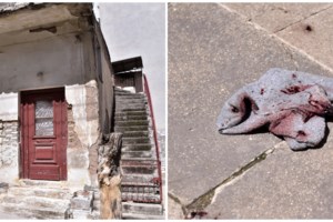 Γέμιζαν τα μαγαζιά σε Αθήνα και Θεσσαλονίκη με νοθευμένο αλκοόλ - Περισσότερα από 500.000 τα μπουκάλια "μπόμπες"