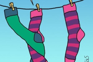 Αρκάς: Οδηγίες για να... σκοτώσεις μια αράχνη στο μπάνιο