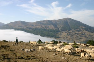 Πλησιάζει τη Γη ο πράσινος κομήτης που (ξανα)έρχεται από την εποχή των Νεάντερταλ