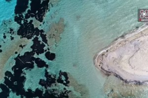 "Καλάμια": Ενας απέραντος καλοκαιρινός τιρκουάζ παράδεισος, μία ώρα από την Αθήνα [βίντεο]