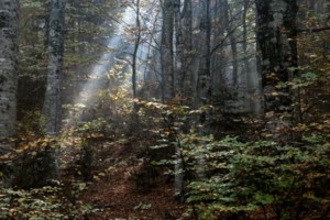 Διπλασιάστηκε η χρήση κοκαΐνης τα Χριστούγεννα και υπάρχει λόγος γι΄αυτό