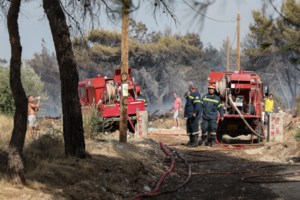 Θεσσαλονίκη: Σε εξέλιξη φωτιά στο Τρίλοφο - Εκκενώθηκε ξενοδοχείο - Διάσπαρτες κατοικίες στην περιοχή - Διεκόπη η κυκλοφορία - εικόνα 2