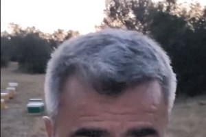 Φωτιές: Επιδότηση προσωρινής στέγασης 300 έως 500 ευρώ στους πυρόπληκτους - Το σχέδιο για τη φιλοξενία - εικόνα 4