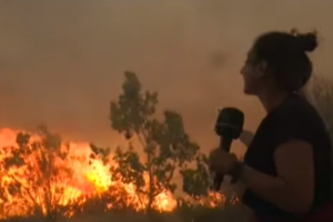 Υπό έλεγχο τα πύρινα μέτωπα στην Παλλήνη, δηλώνει ο δήμαρχος - Κίνδυνος αναζωπύρωσης στη ρεματιά