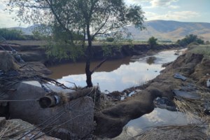 Βόλος: Εντοπίστηκε σορός άνδρα εντός του Παγασητικού Κόλπου - Εξετάζεται αν προέρχεται από τις πλημμύρες