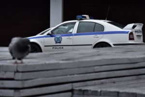 Χανιά: Συνελήφθησαν δύο αλλοδαποί για καλλιέργεια δενδρυλλίων κάνναβης