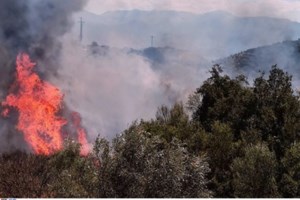 Live: Μπαράζ πυρκαγιών στην χώρα - Εκκενώνονται οικισμοί - Άνοιξε η Εθνική Πατρών - Πύργου - εικόνα 2