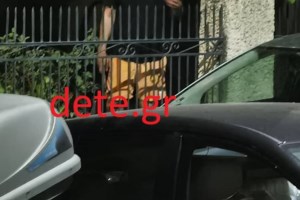 Πάτρα: Στο Ψυχιατρείο οδηγήθηκε ο άνδρας που απειλούσε με τσεκούρι