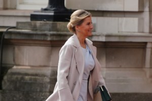 Bρετανία: Δίωξη σε αστυνομικό που παρέσυρε ηλικιωμένη ενώ συνόδευε την πριγκίπισσα Σόφι