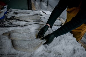 Σταϊκούρας: Ο Έλληνας πρέπει να νιώθει ασφαλής για τις καταθέσεις του