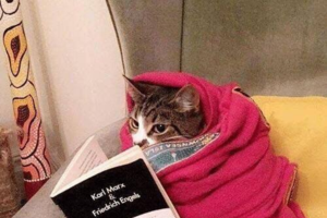 Σε αυτές τις περιοχές οι γονείς δεν έστειλαν στο σχολείο τα παιδιά τους