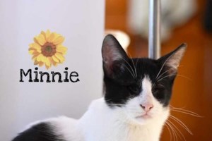 Alma Libre: Ποιος ξέρει πόσες ημέρες βρισκόταν μέσα στον τρόμο εγκλωβισμένο στην κόψη της καρμανιόλας του Κηφισού