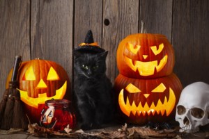 Απίθανος Αντετοκούνμπο: Ντύθηκε... Μinion για το Halloween - Τον τρολάρουν οι Μπακς [εικόνες]