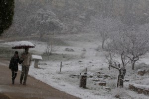Πολιτική Προστασία: Πολύ υψηλός κίνδυνος πυρκαγιάς αύριο για τρεις περιφέρειες