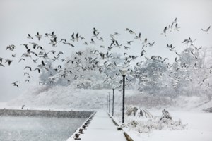 Live η πορεία της κακοκαιρίας "Ελπίδα": Πού και πότε θα "χτυπήσει" με χιόνια, θυελλώδεις ανέμους και πολικές θερμοκρασίες