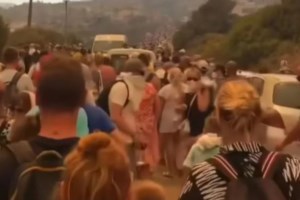 Ρόδος: Άλογα τρέχουν να σωθούν από την πυρκαγιά - Συγκλονιστικές εικόνες