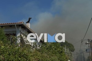 Φωτιά στη Στιμάγκα Κορινθίας: Στη φυλακή οδηγείται ο εμπρηστής - 37 μήνες χωρίς αναστολή